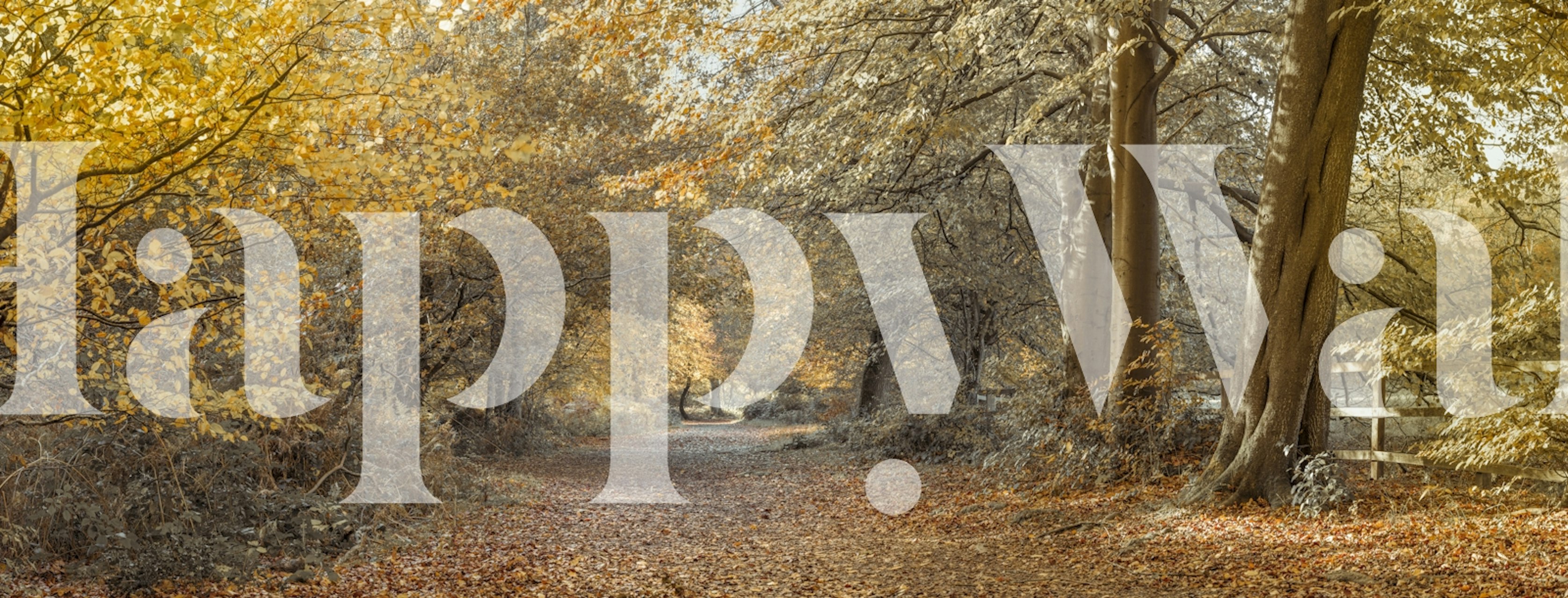 Autumn forest scene with golden leaves and winding path wallpaper