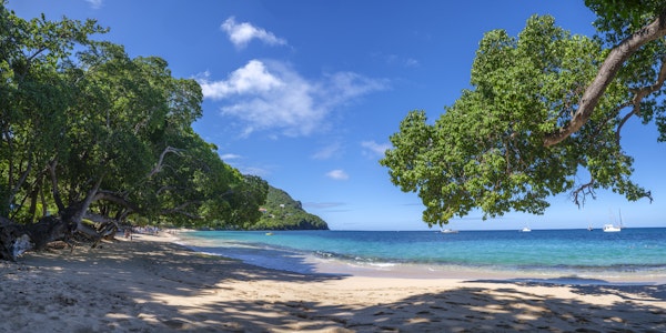 Coastal Paradise Vibes