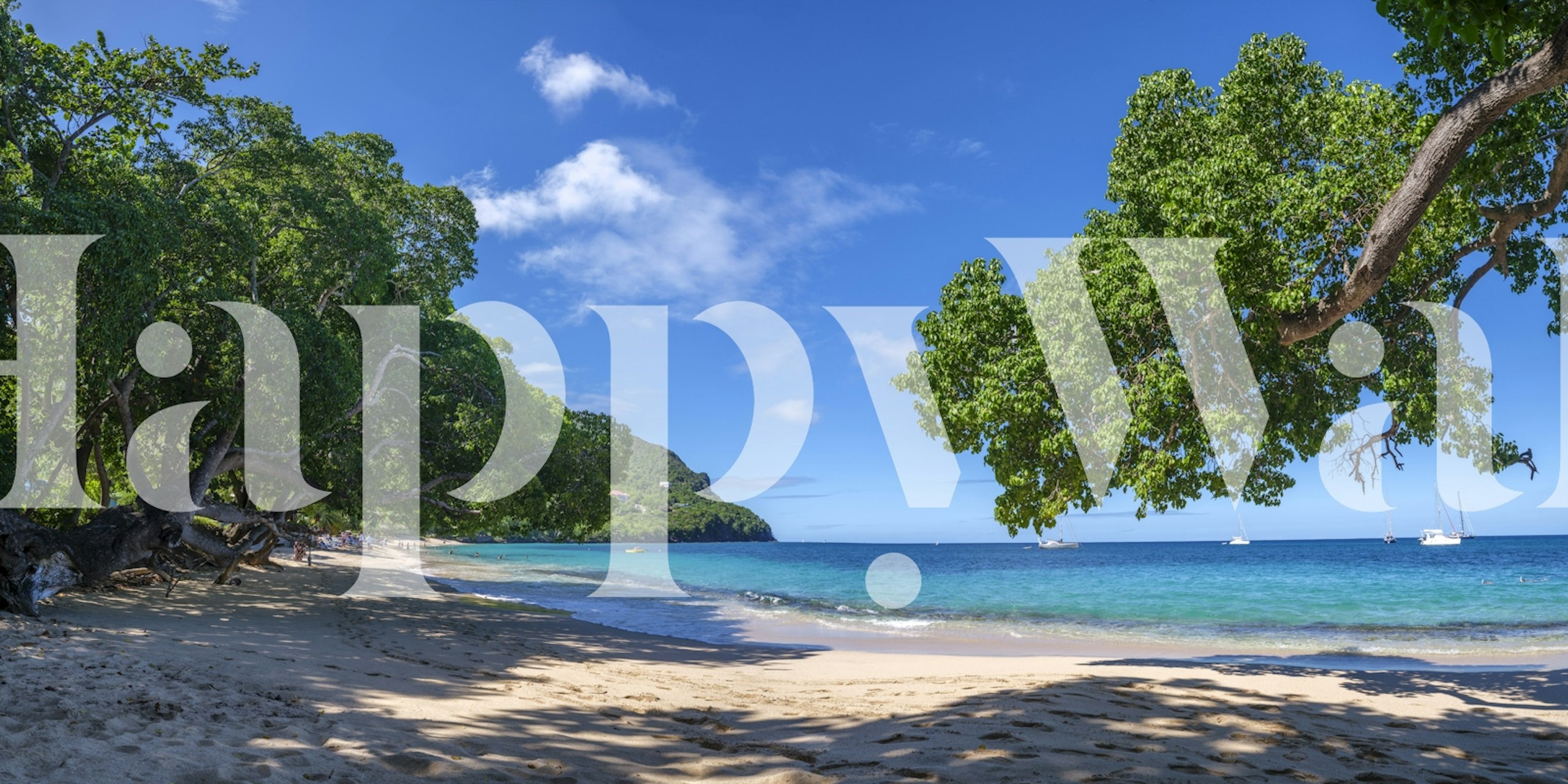 Coastal beach landscape with green trees, blue ocean and sky wallpaper