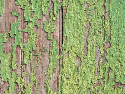 Τοιχογραφία