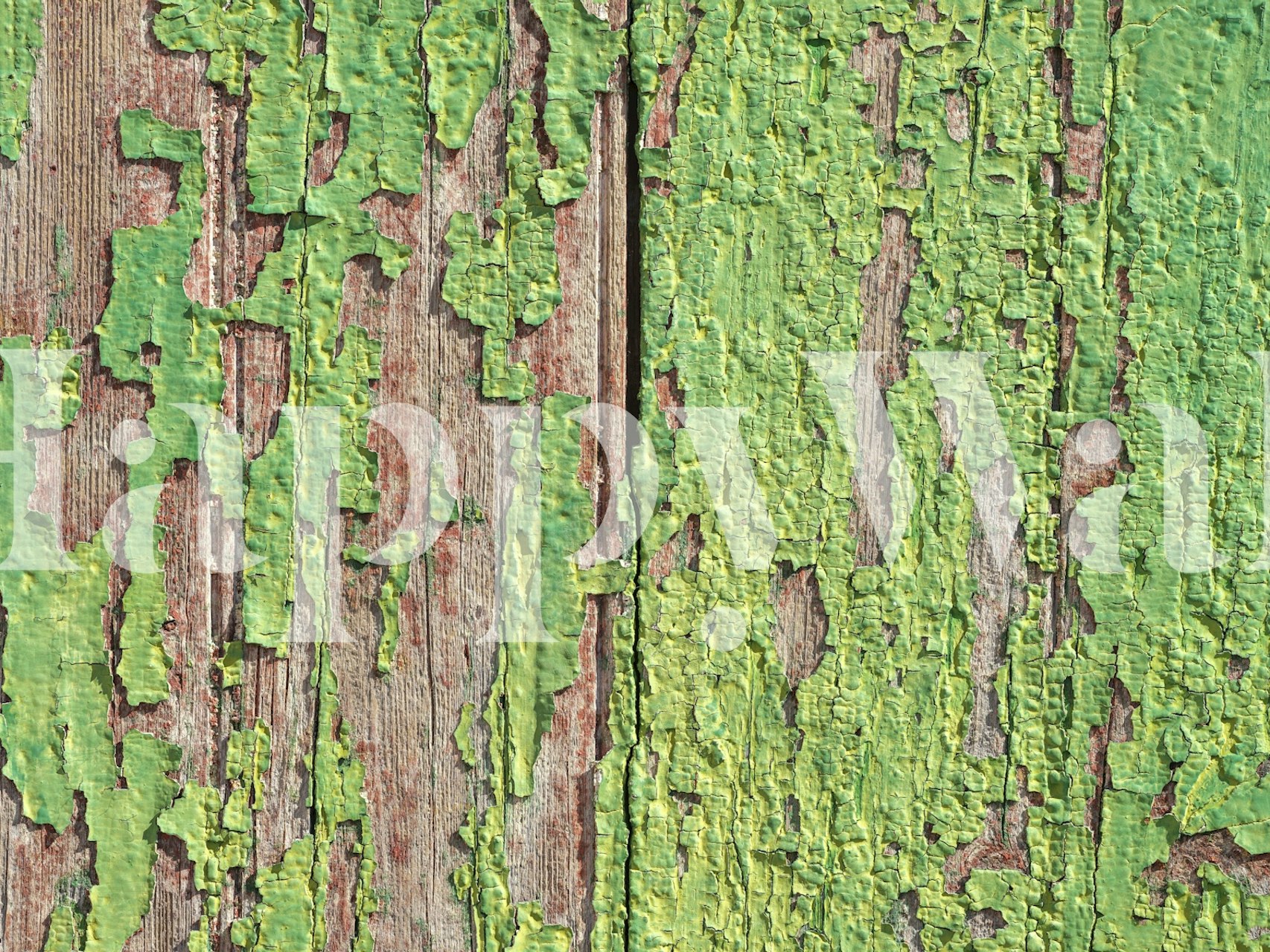 Antique Green Timber wallpaper σε ένα δωμάτιο