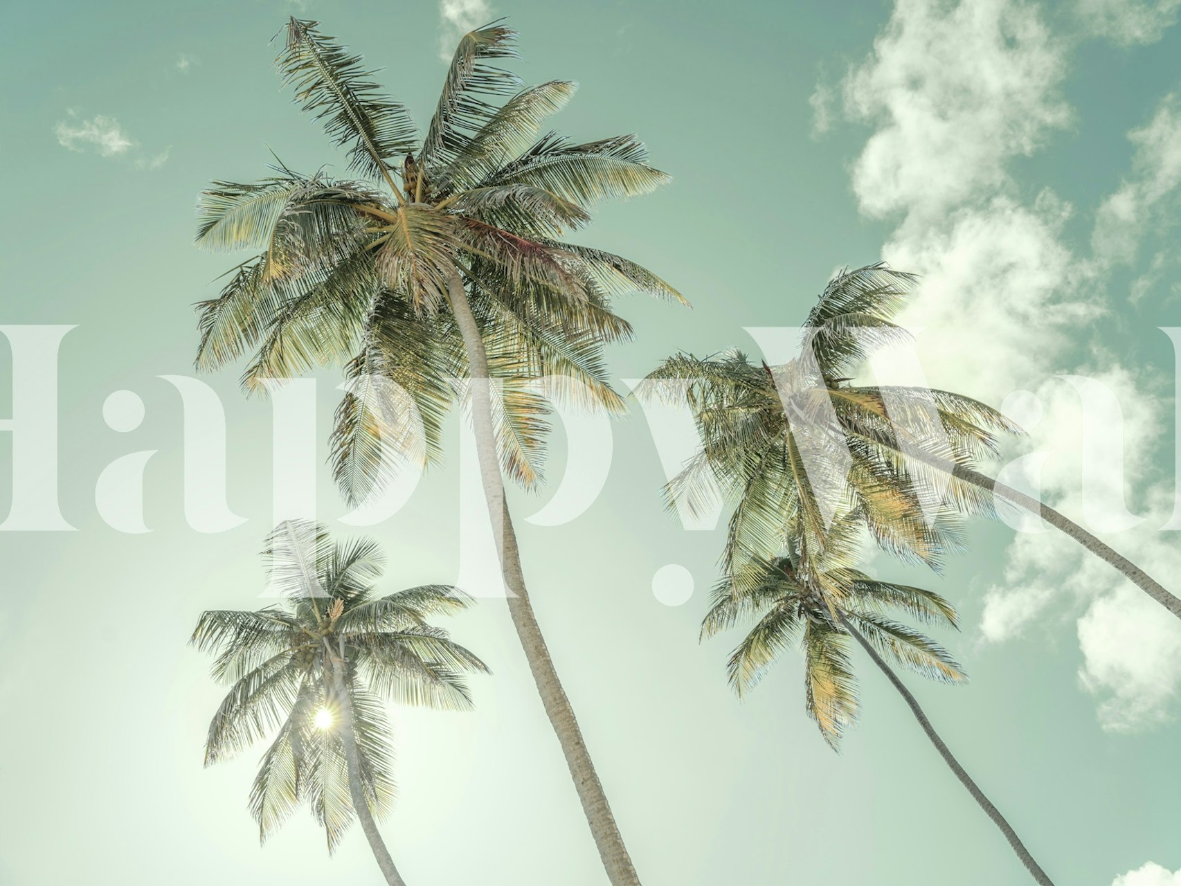 Sunny Sky Palms behang in een kamer