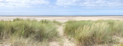 Τοιχογραφία