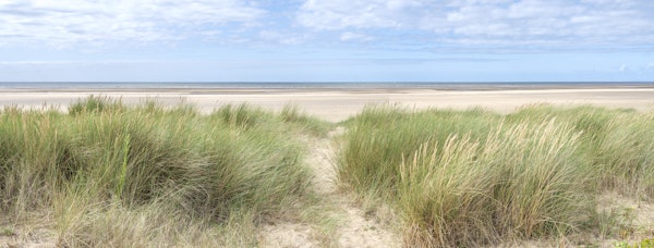 Grassland by the Sea