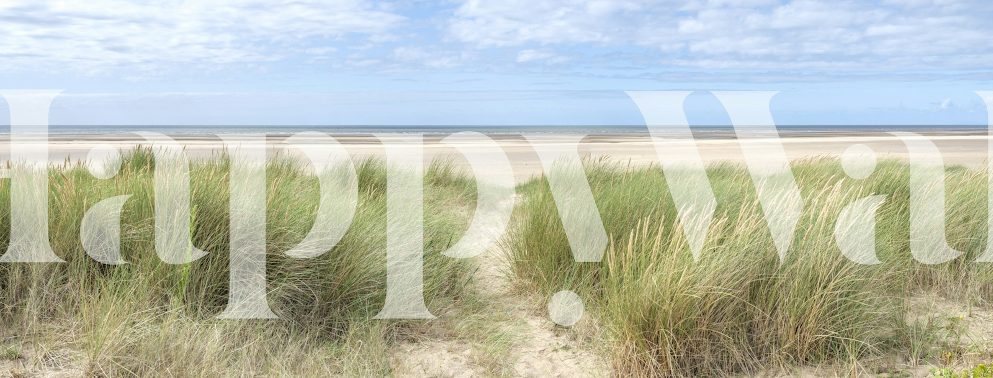 Tapeta Grassland by the Sea u sobi