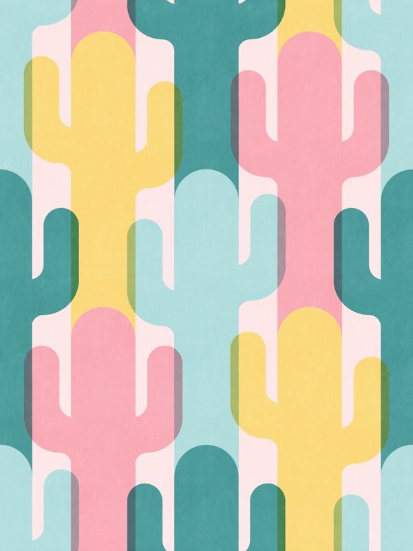 Calming Cacti in Palm Springs