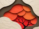 Autumn Layers