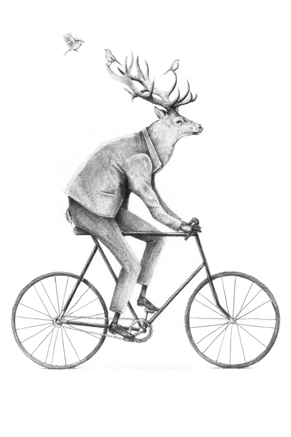 Even a Gentleman rides