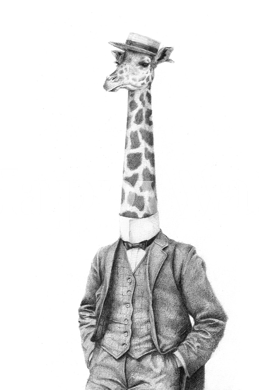 Giraffe head in a suit and bowtie, black and white wallpaper