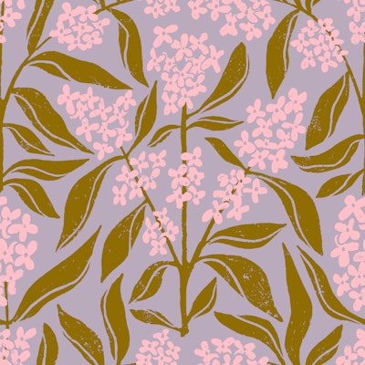 Modello