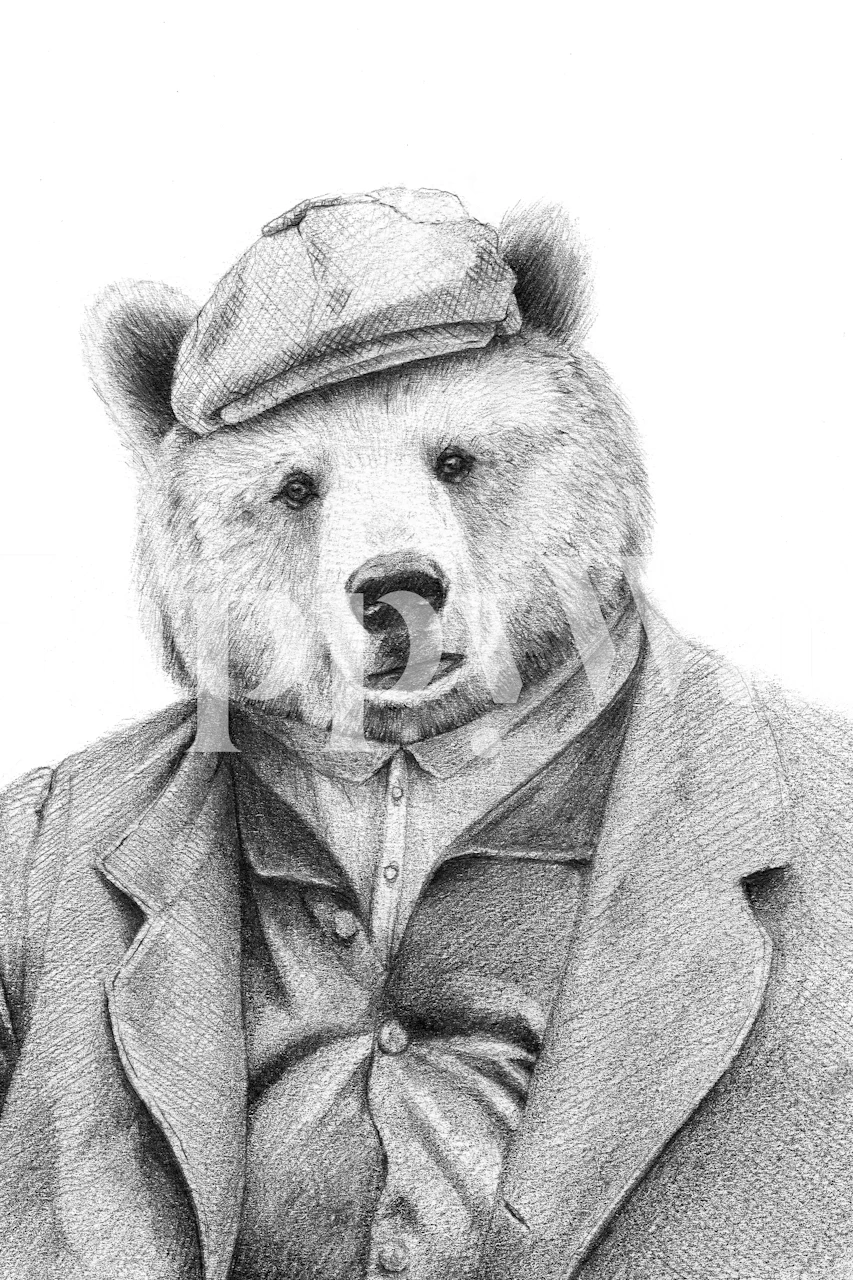 Ilustrační fototapeta Medvěd v oblečení