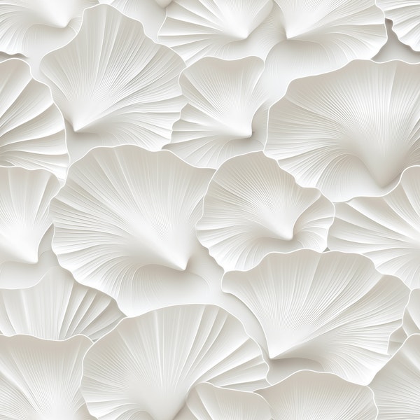 Elegant White Shells