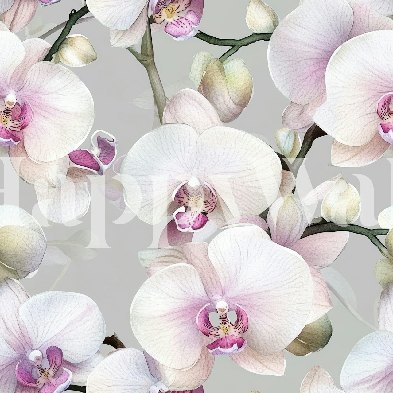 Elegance of the orchid wallpaper in a room