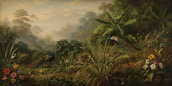 Exotic Jungle Forest