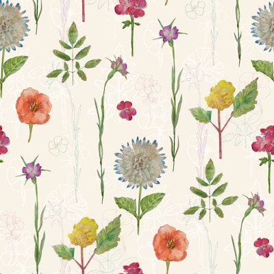 Pattern
