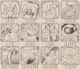 Astrology Chalkboard Art 04
