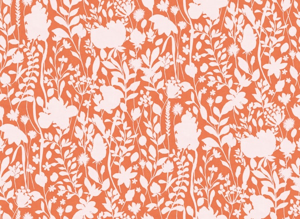 Wild flowers silhouettes orange white