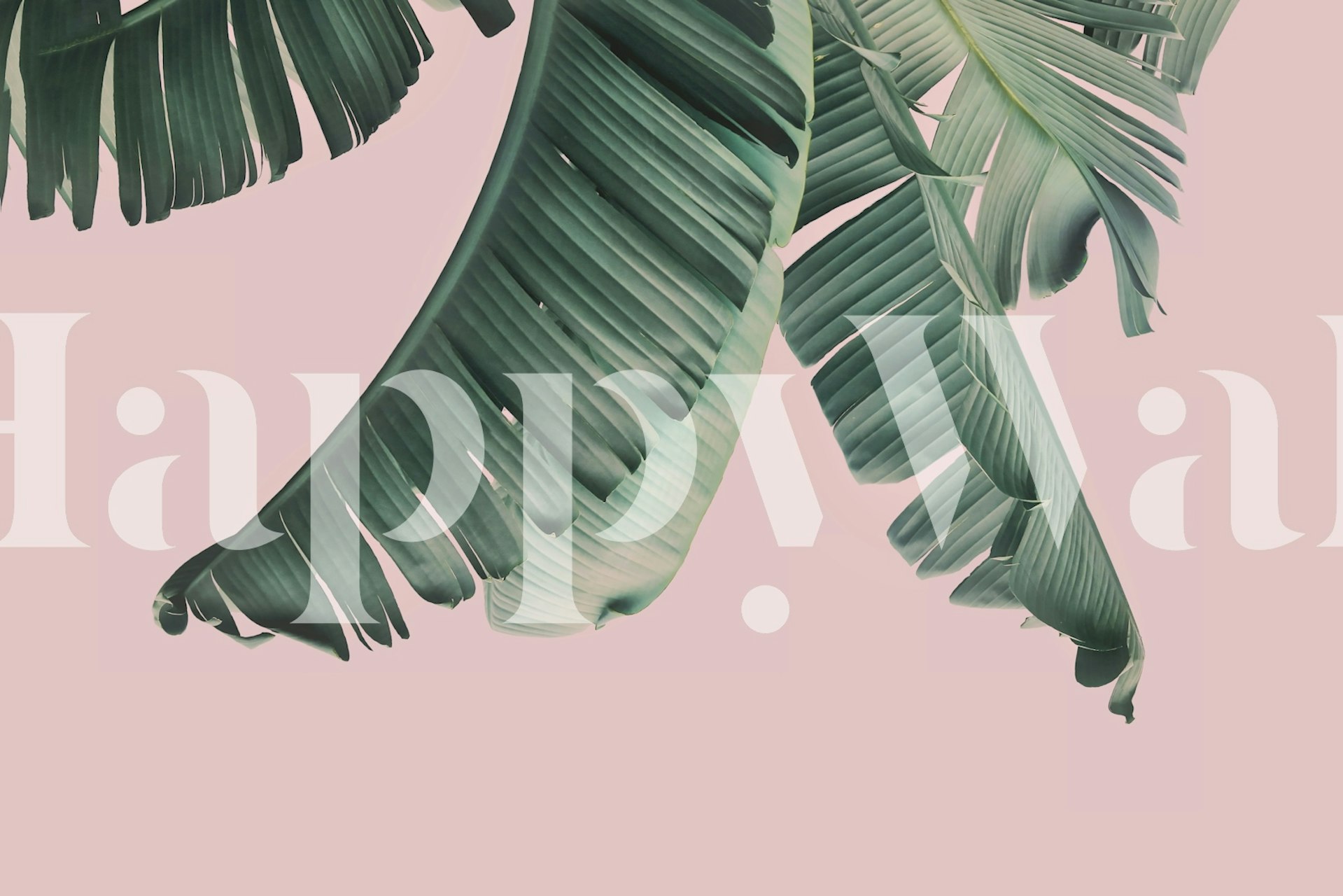 Banana leaf wallpaper in een kamer