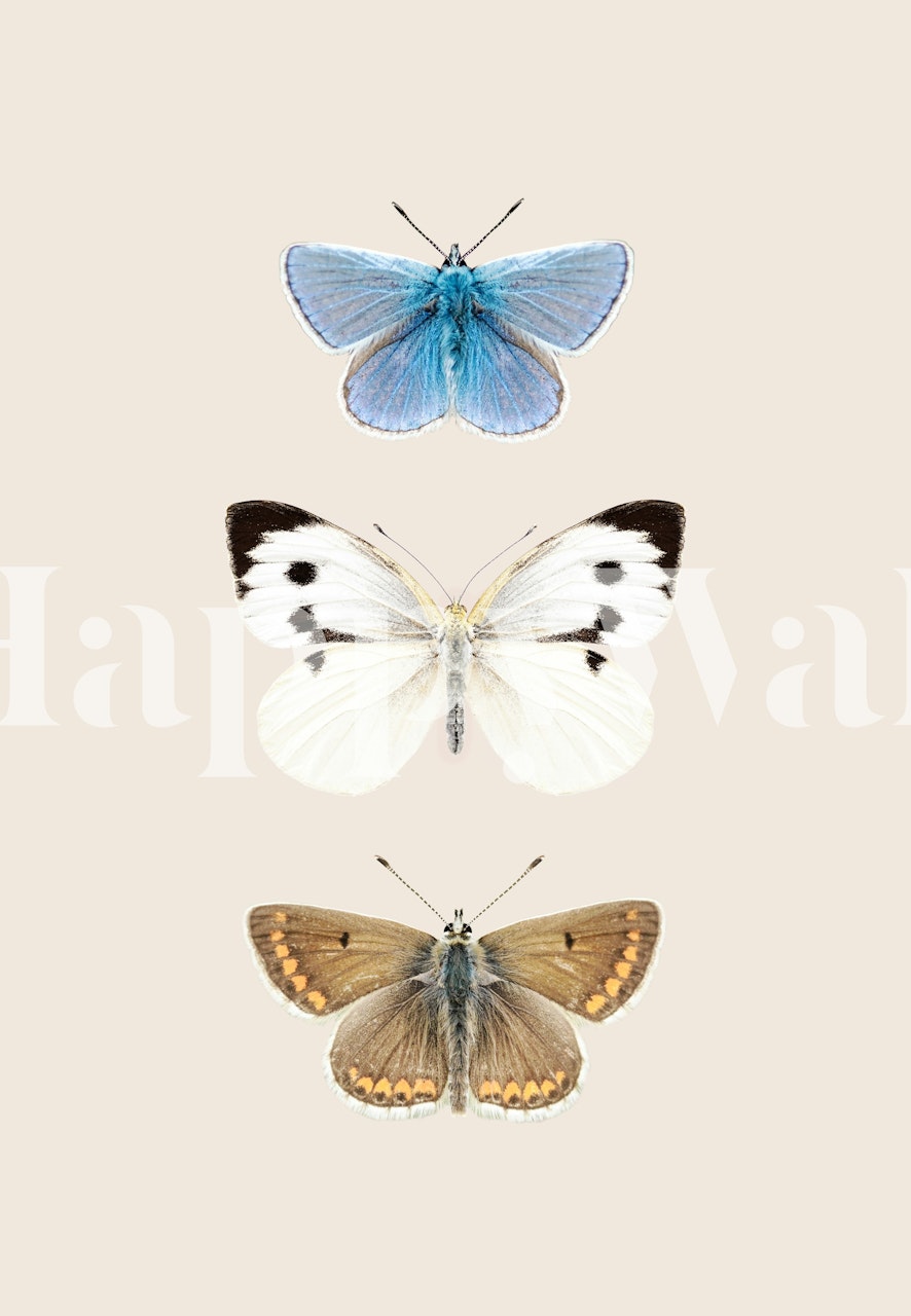 English Butterflies ταπετσαρία σε ένα δωμάτιο