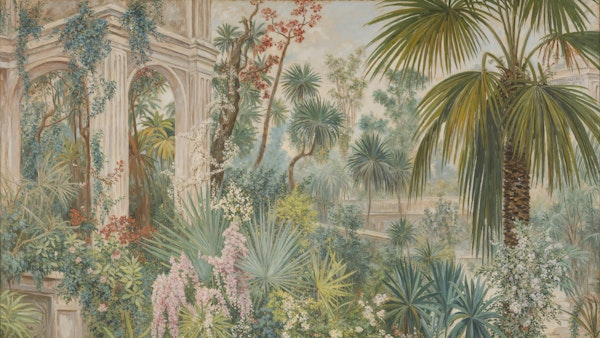 Exotic Jungle Sanctuary