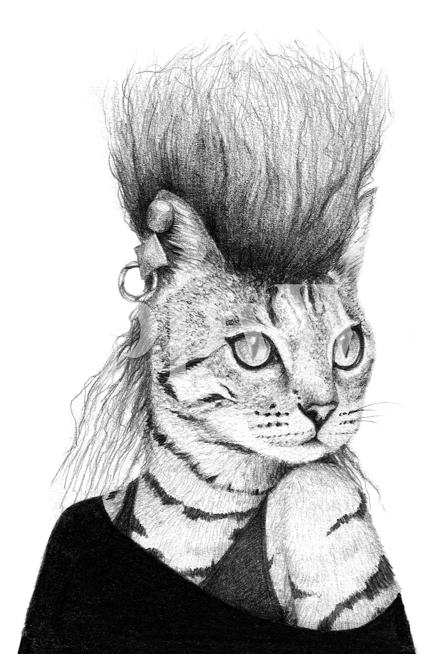 Rock-style cat illustration with mohawk hair in black and white wallpaper