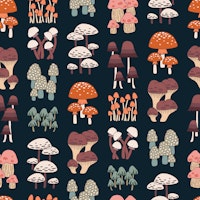 Mille champignons tapete