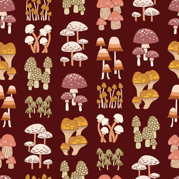 Mille champignons in burgundy