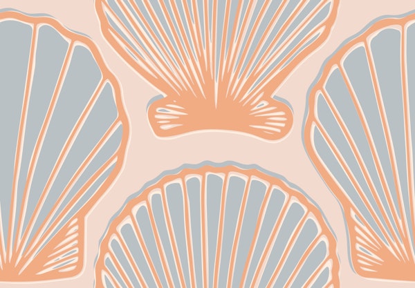 Scallop shells in blue and soft pink