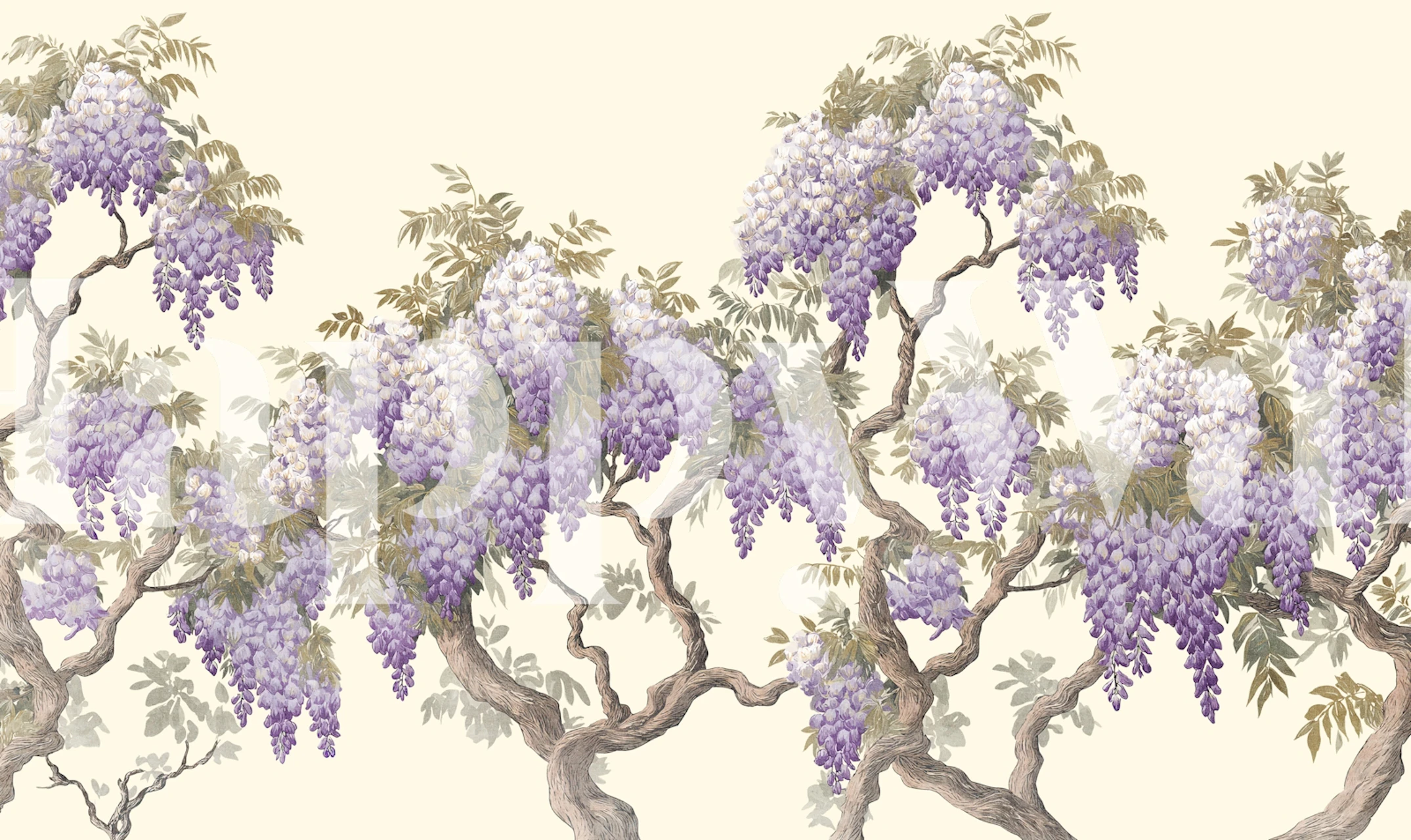 Wisteria wallpaper in buttermilk | HappyWall