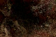 Galaxy Red