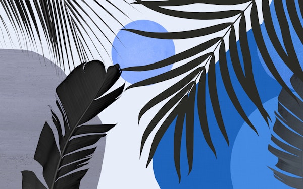 Abstract Banana Palm Leaf 4 - landscape