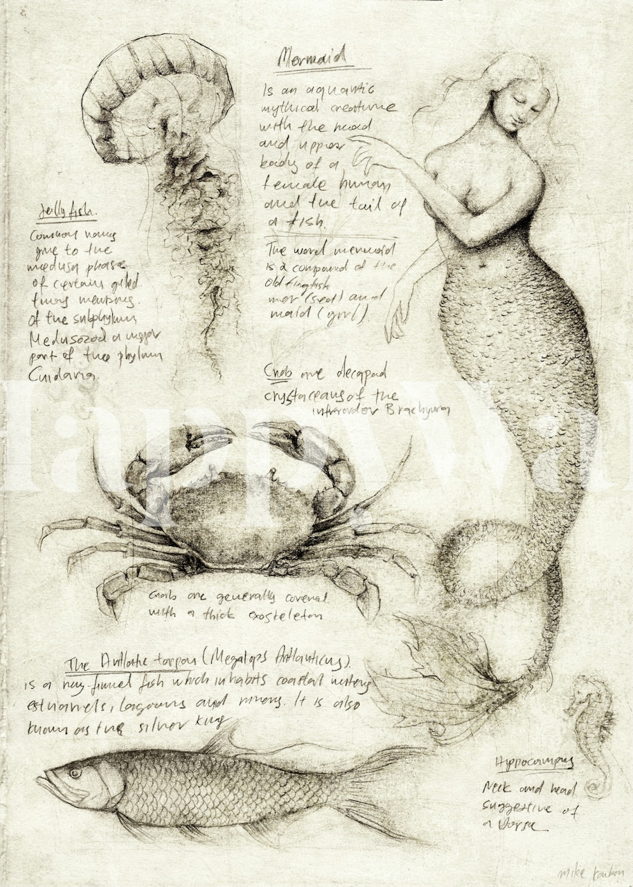 Σχέδιο ταπετσαρίας Sea Animals σε ένα δωμάτιο