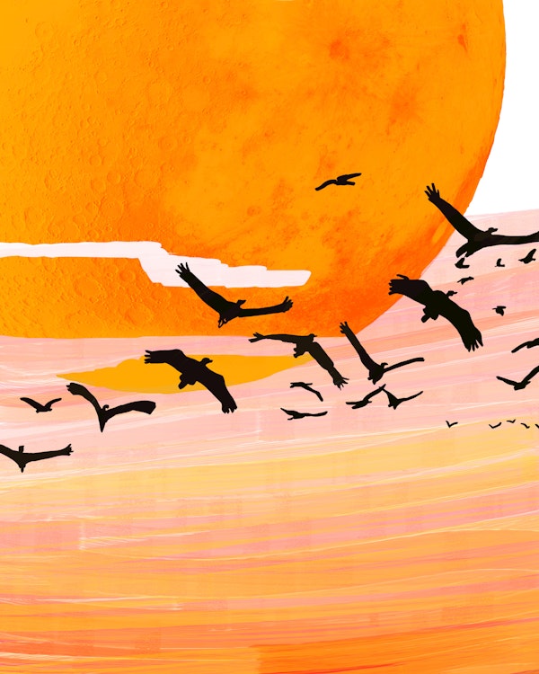 Time Flies - Birds in Sunset