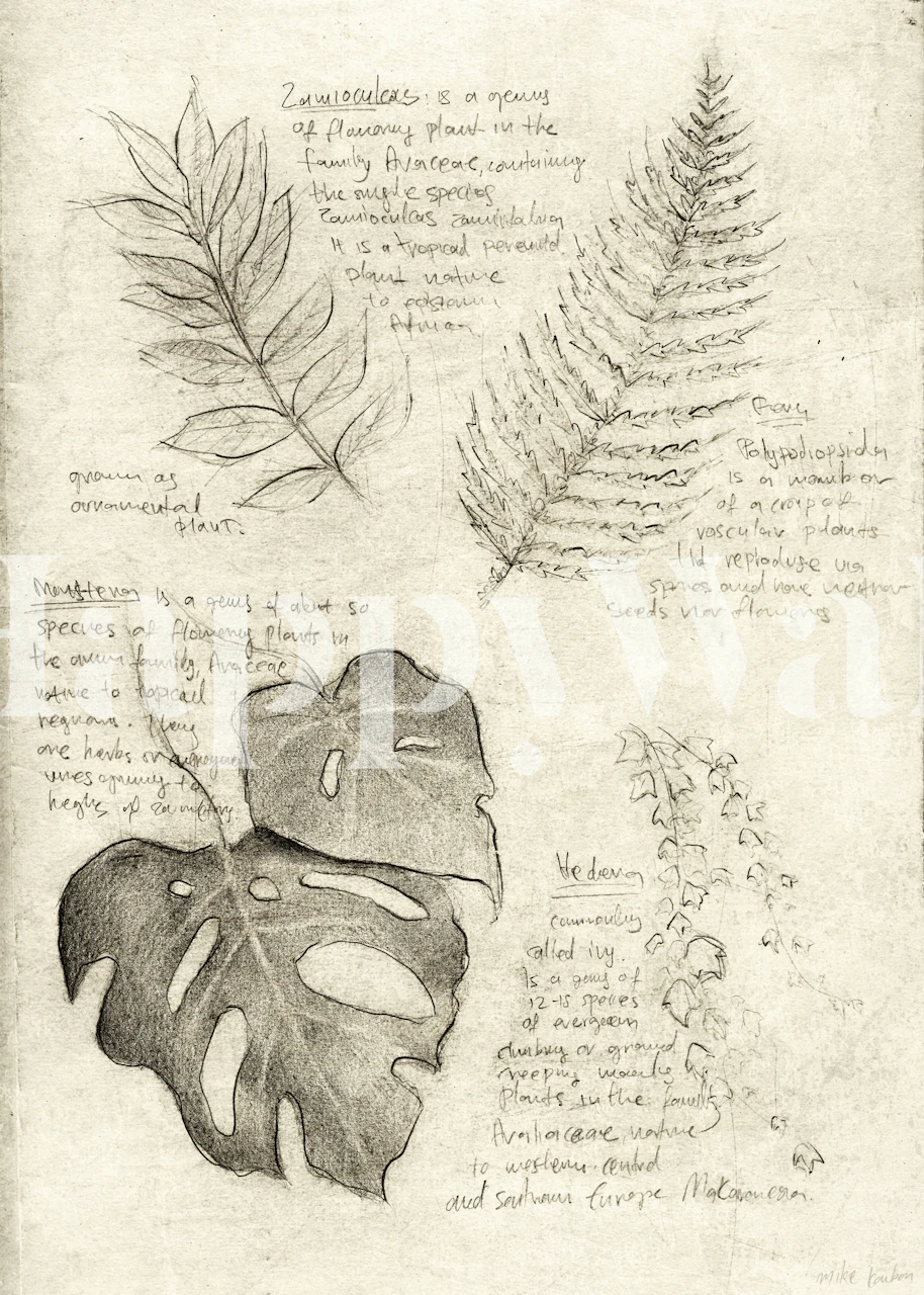 Botanical sketches of leaves on a subtle grey background wallpaper