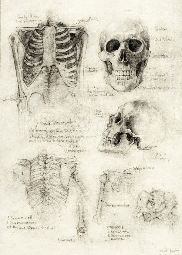 Skeleton sketches