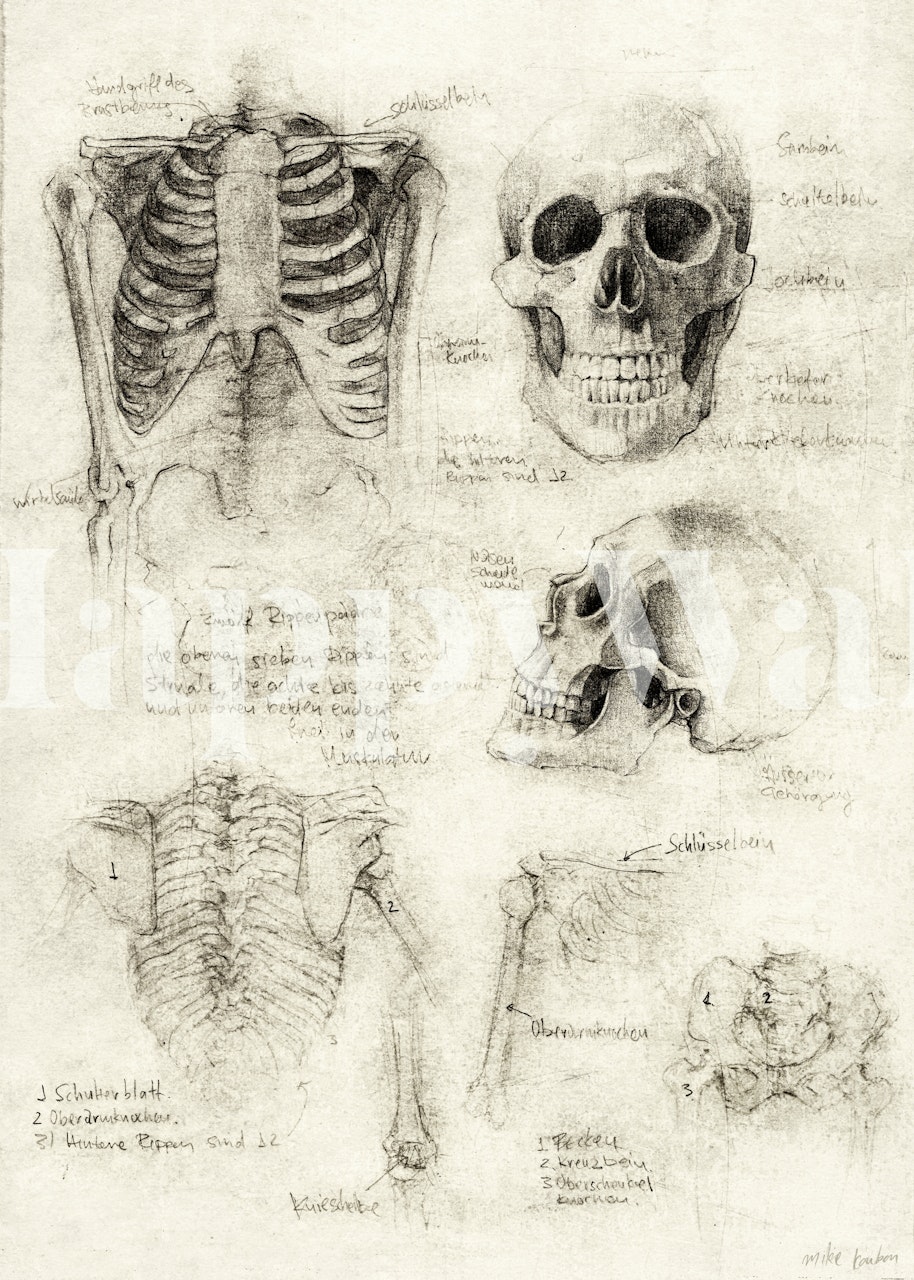 Detailed skeleton sketches in grayscale tones wallpaper