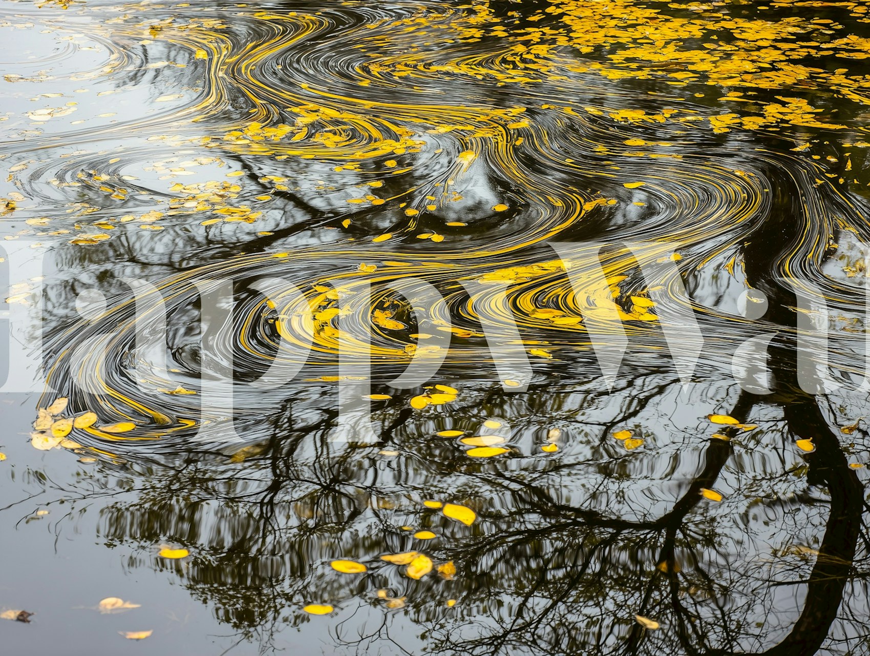 Swirling patterns with yellow leaves and dark water wallpaper