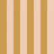 Vertical Stripes Golden Hour