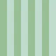 Vertical Stripes Agave Bloom