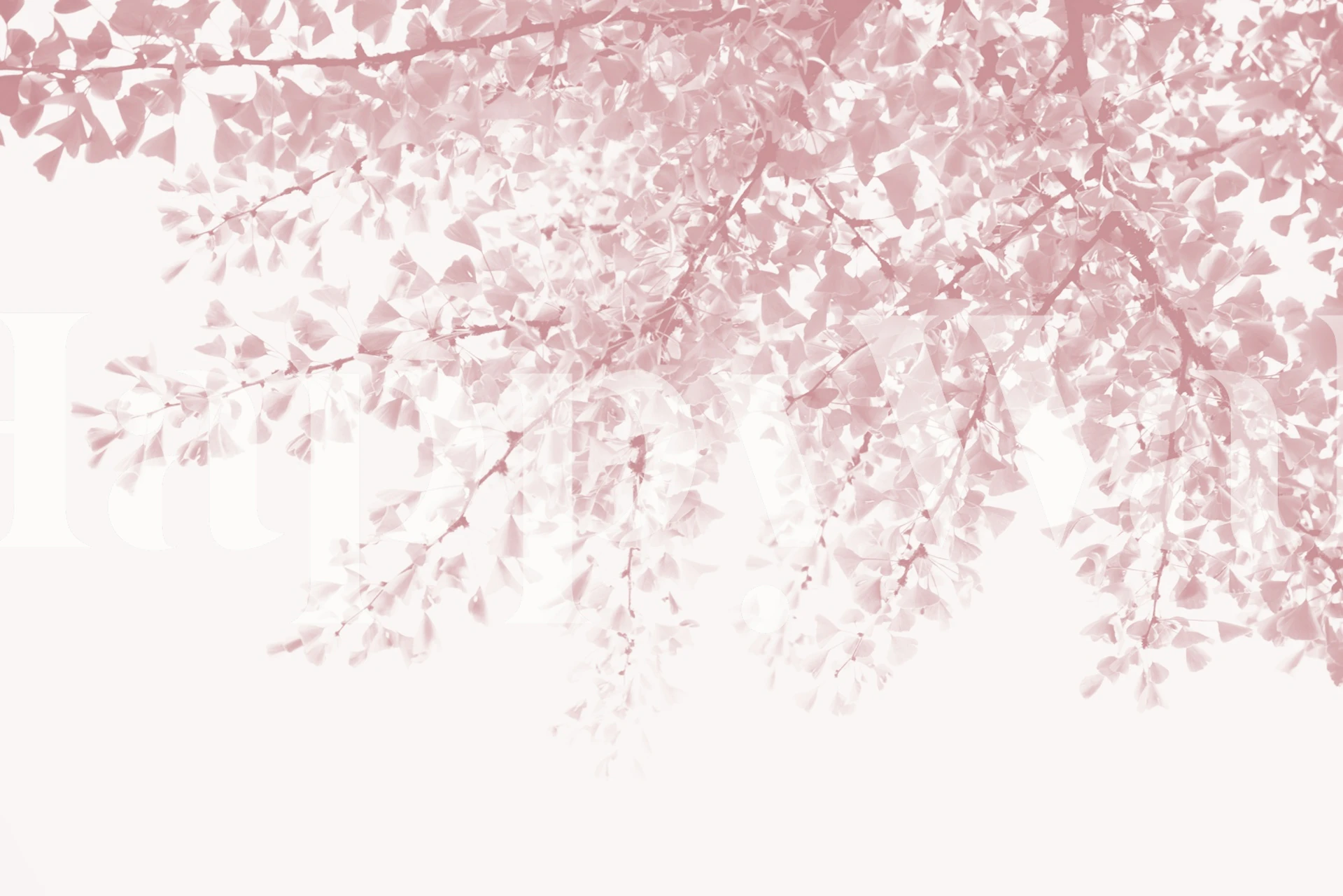 Ginkgo Leaves Dream 8 wallpaper in a room