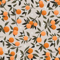 Orange Blossom - Cool White papiers peint