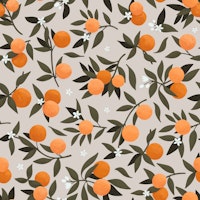 Orange Blossom XL - Cool White papiers peint