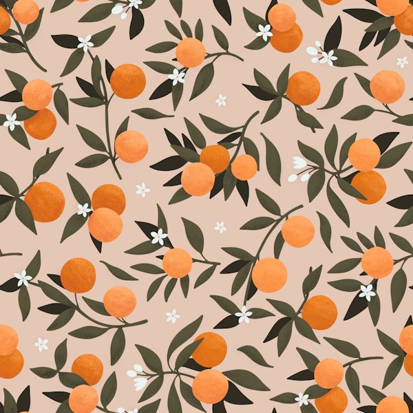 Orange Blossom XL - Peach
