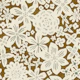 Camelia - brown