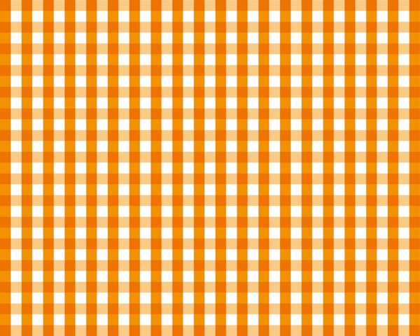 Orange Gingham Charm