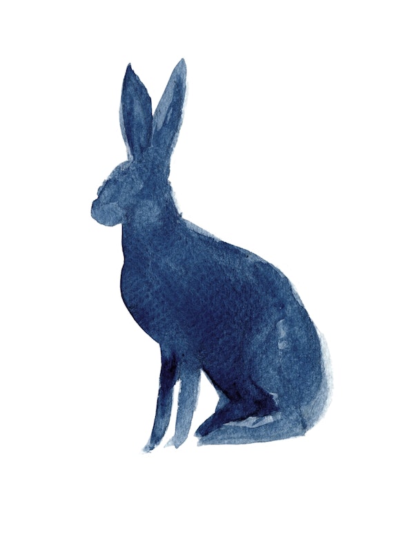 Hare