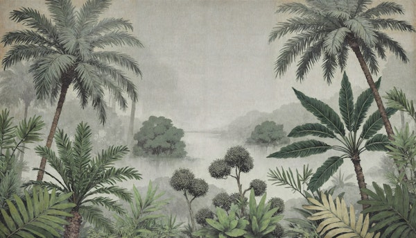 Forest Tropical Canopy