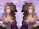 Whimsical Duchess in Lilac