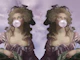 Rococo Bubblegum Bliss