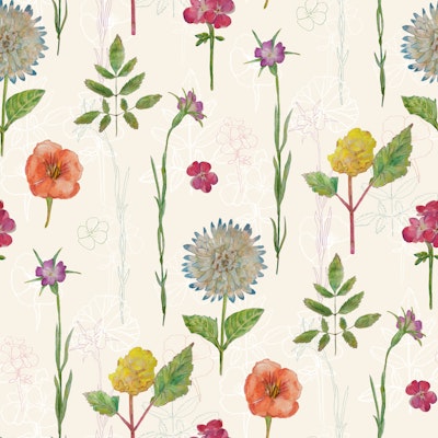 Pattern